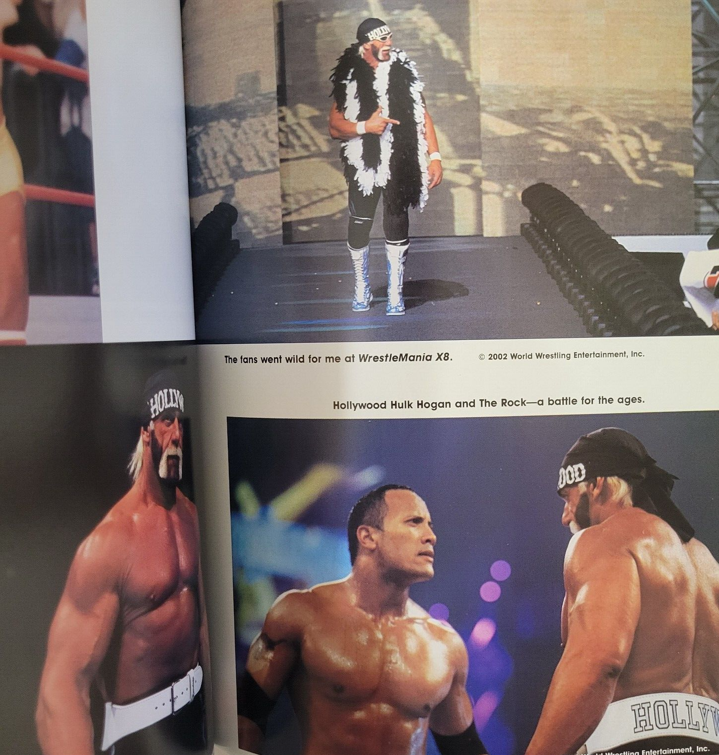 Hollywood Hulk Hogan : The Story of Terry Bollea by WWF Staff, Hulk Hogan