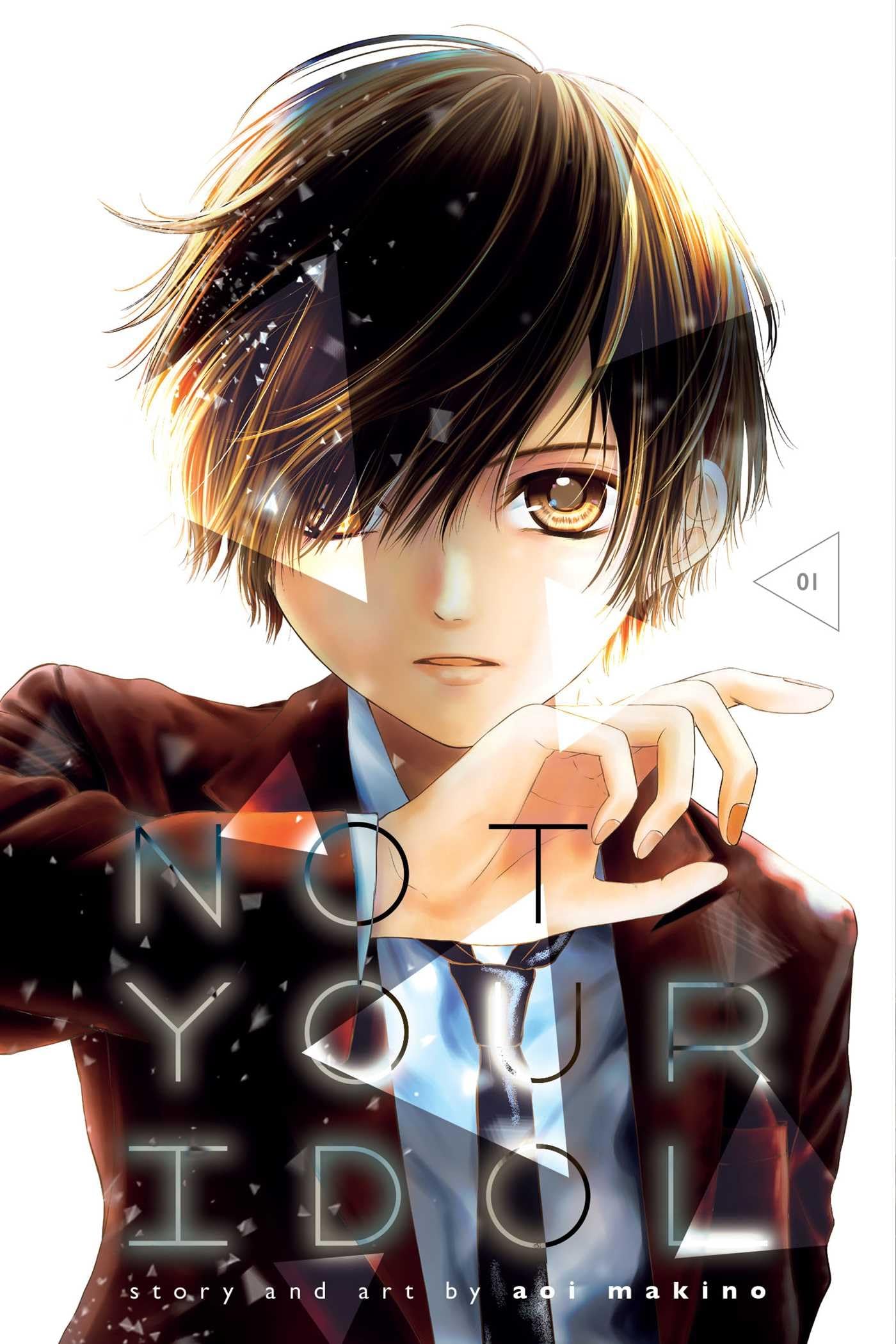 Not Your Idol, Vol. 1 (1)