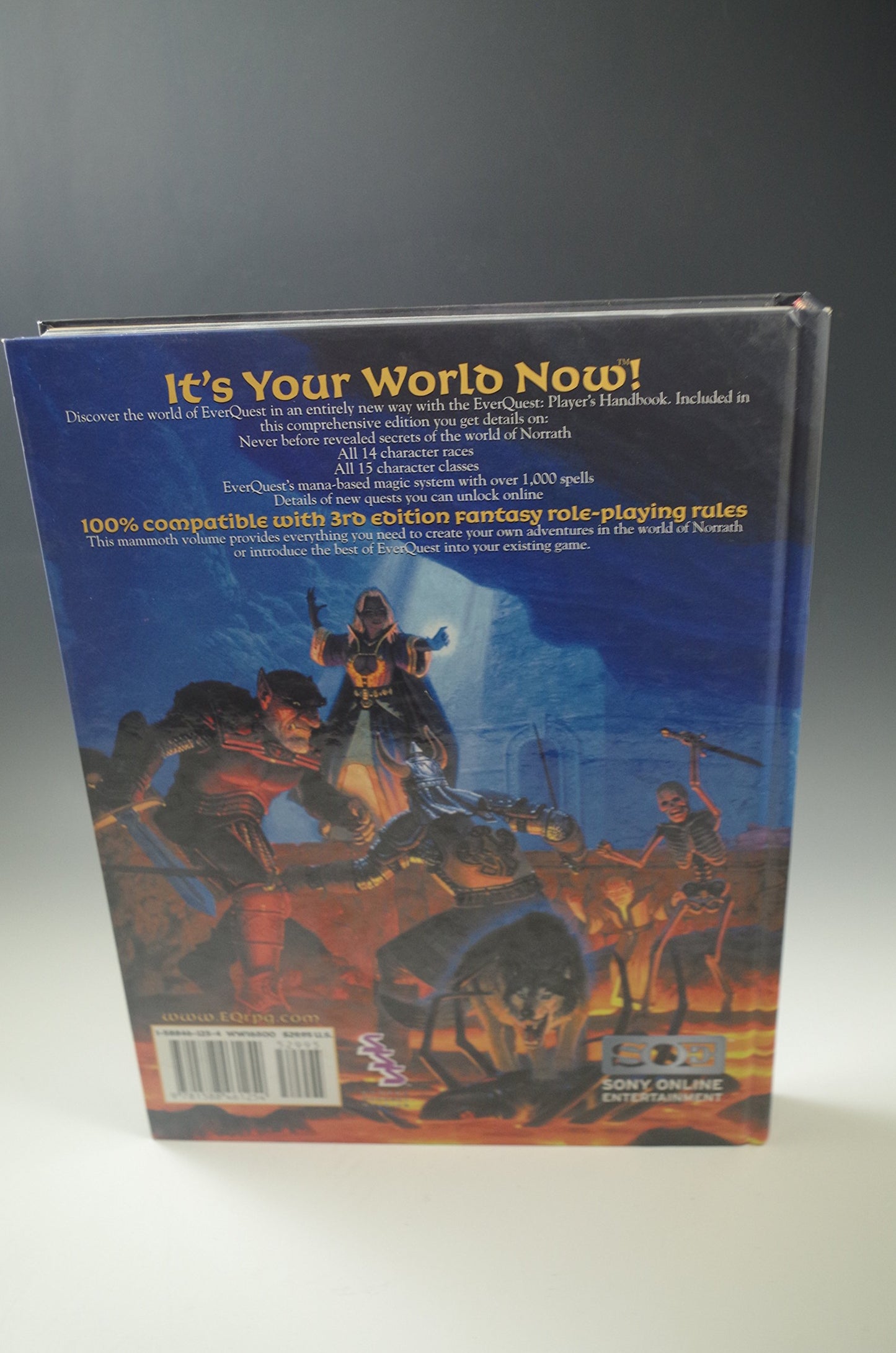 EverQuest Player's Handbook (EverQuest Role-Playing Game)