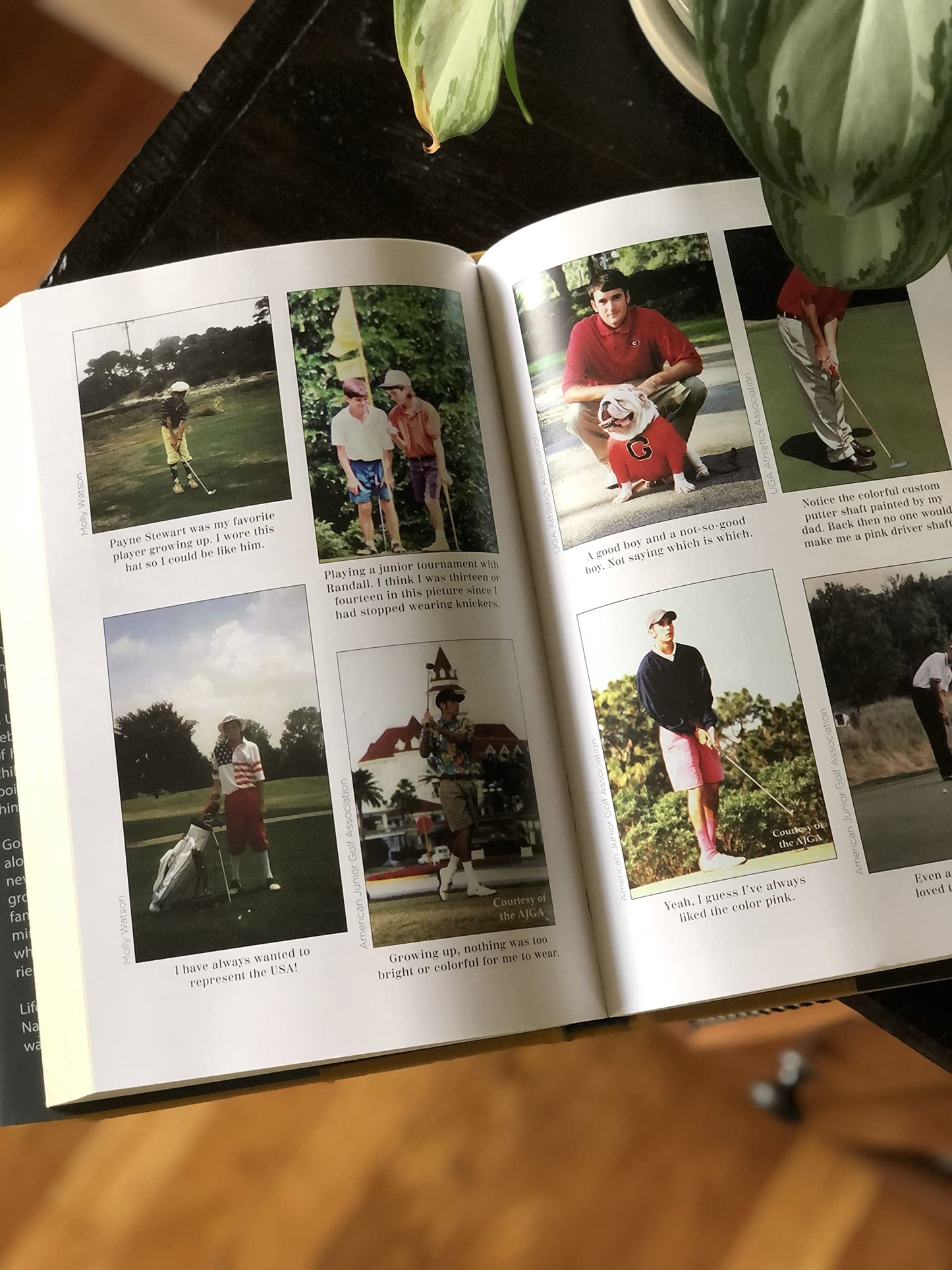 Up and Down: Victories and Struggles in the Course of Life by Bubba Watson