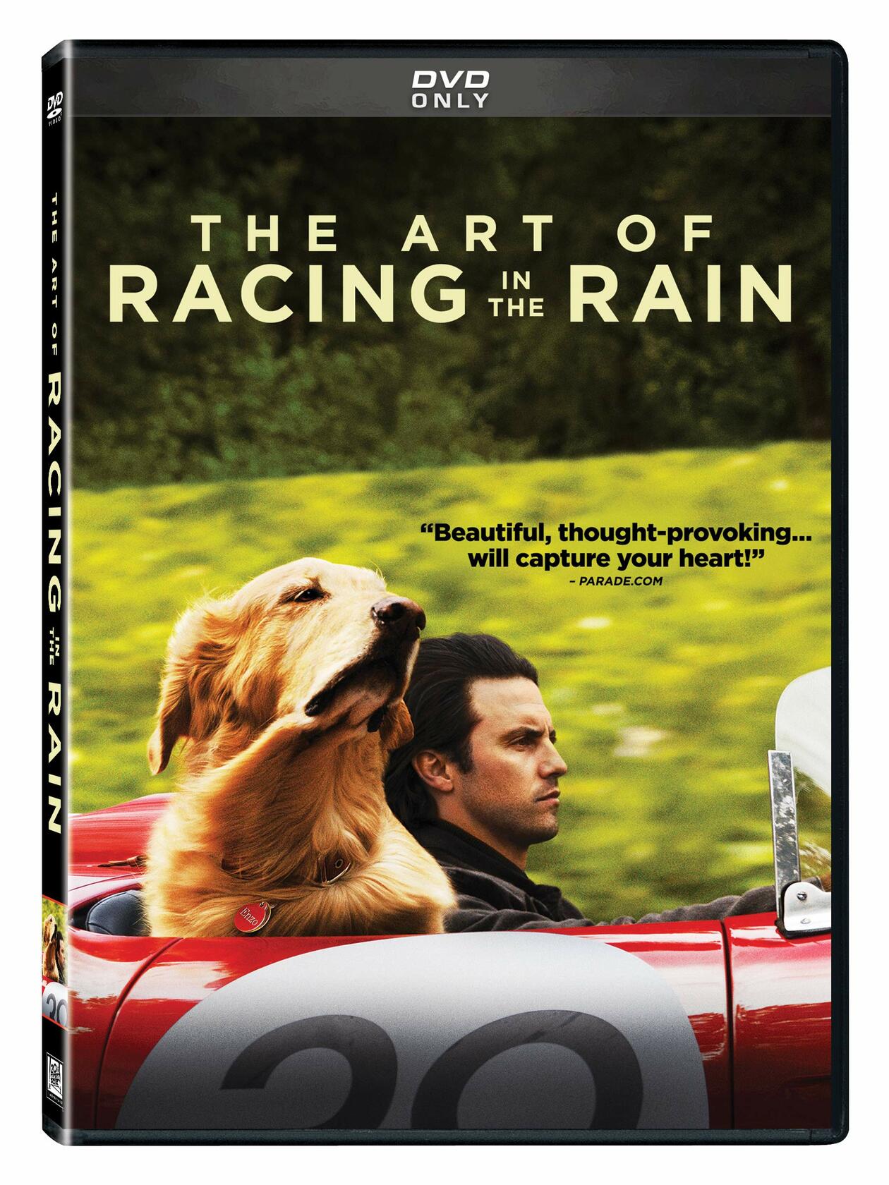 Art Of Racing Rain (DVD)