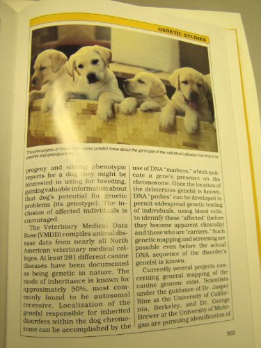 The Official Book of the Labrador Retriever