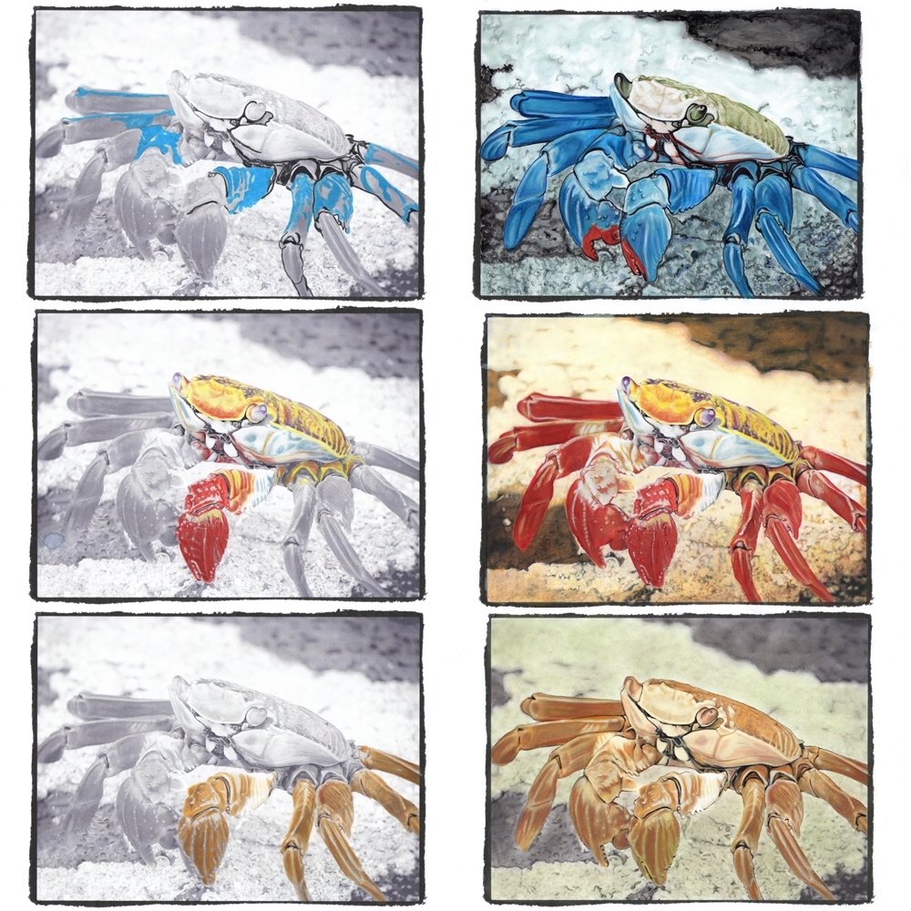 Beautiful Creatures: A Boundless Coloring Book Adventure
