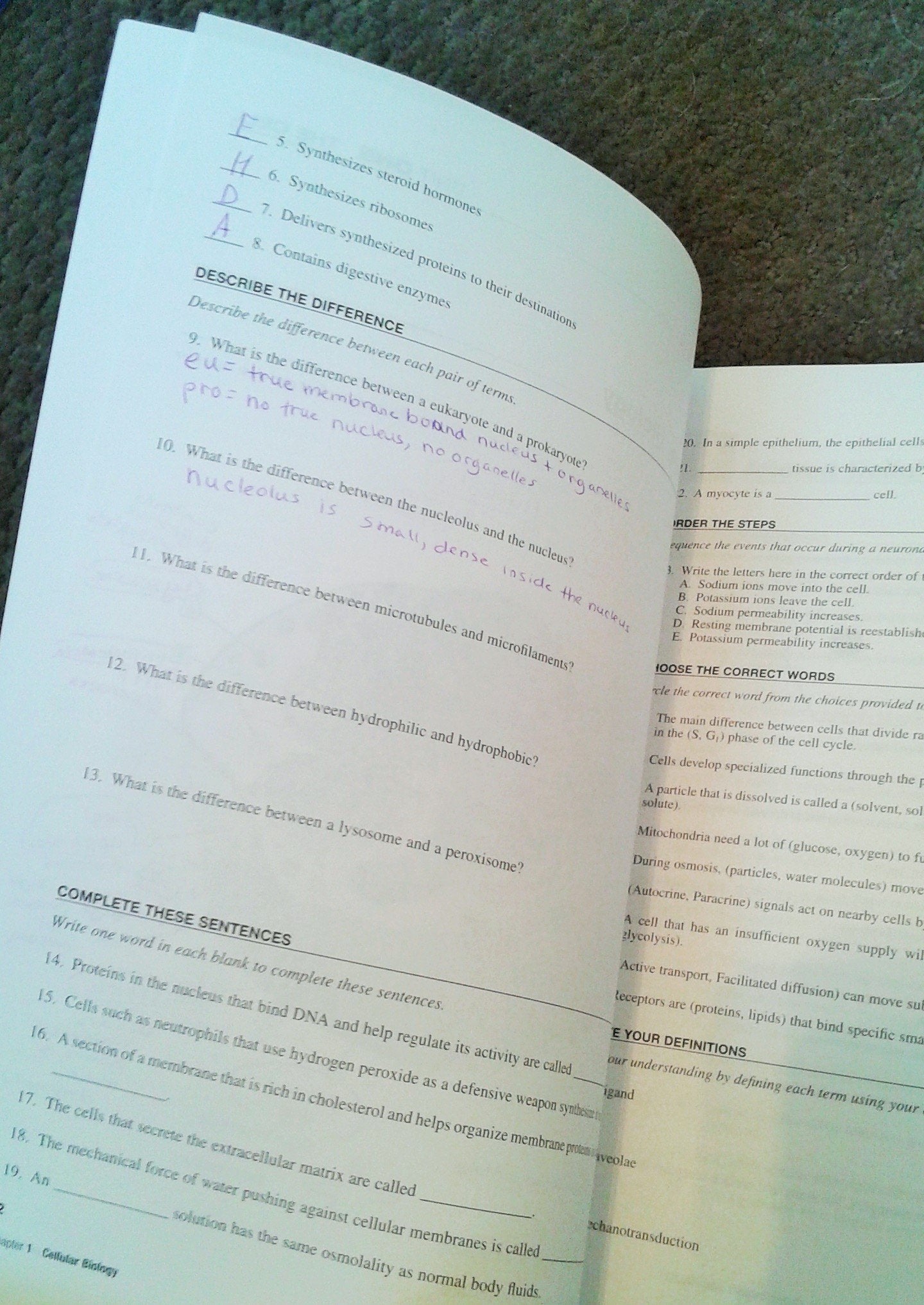 Study Guide for Pathophysiology