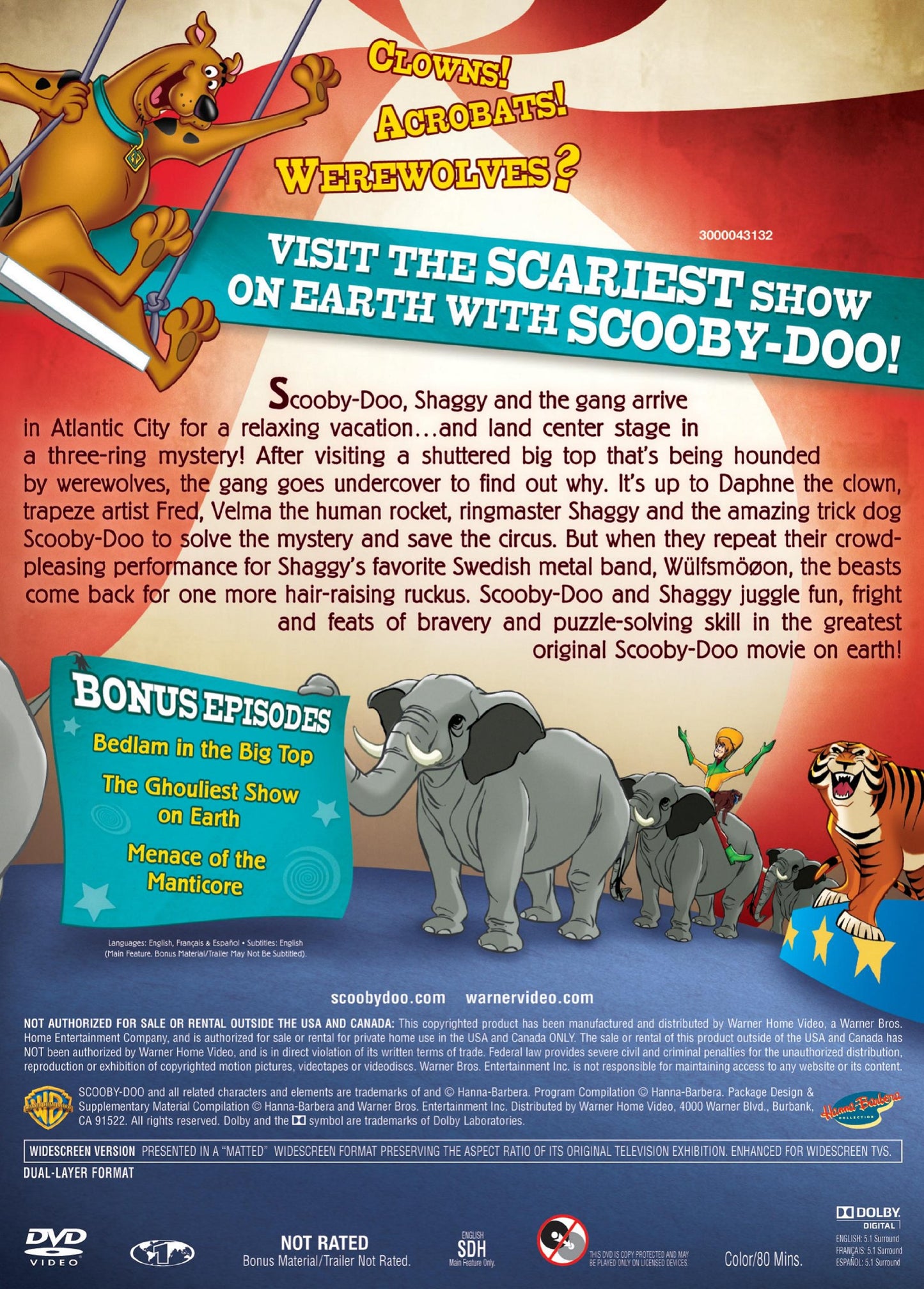 Scooby-Doo! Big Top Scooby-Doo! (DVD)
