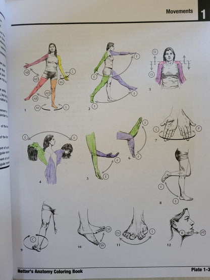 Netter's Anatomy Coloring Book 2nd Updated Edition by John T. Hansen