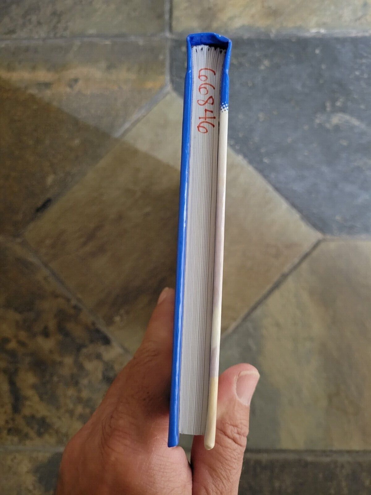 Stories in History Ser.: Ancient Rome : 200 B. C. -A. D. 350 by Nextext (2002, H