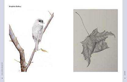 Look Closer, Draw Better: Expert Techniques for Realistic Drawing