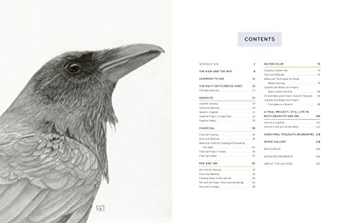 Look Closer, Draw Better: Expert Techniques for Realistic Drawing