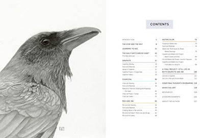 Look Closer, Draw Better: Expert Techniques for Realistic Drawing