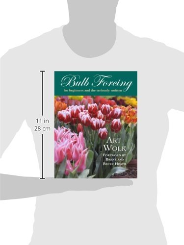 Bulb Forcing for Beginners and the Seriously Smitten