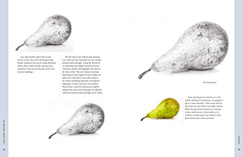 Look Closer, Draw Better: Expert Techniques for Realistic Drawing