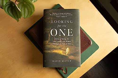 Looking for the One: Stories of Seeing the Lost, Lonely, and Broken Through the Eyes of Jesus