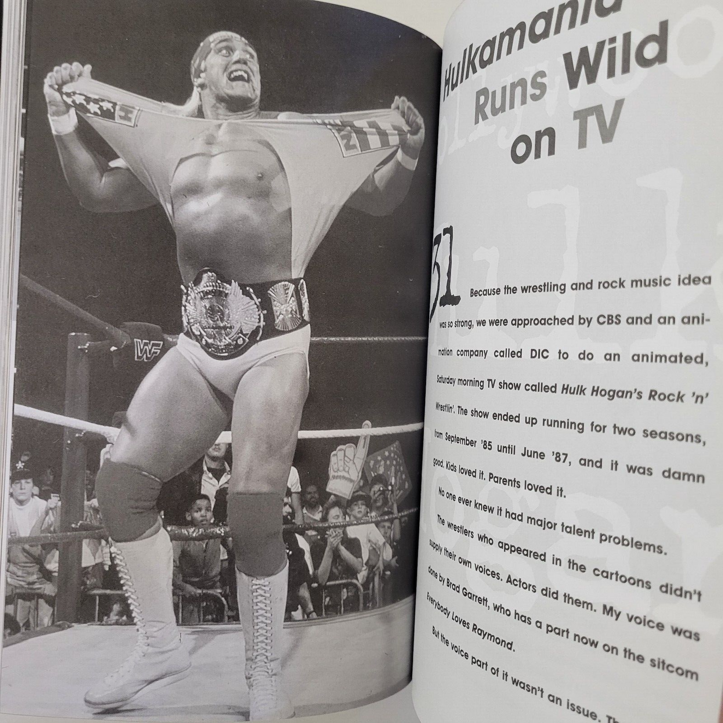 Hollywood Hulk Hogan : The Story of Terry Bollea by WWF Staff, Hulk Hogan