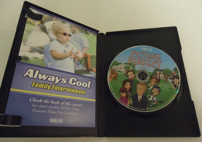 Picture Perfect (DVD)