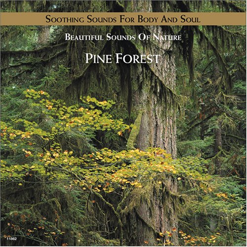 Pine Forest