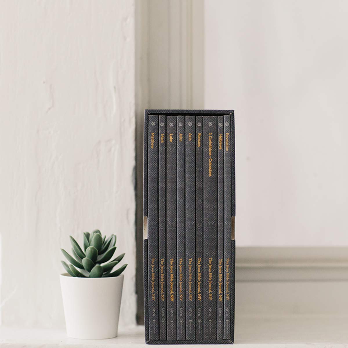 The Jesus Bible Journal, Selected New Testament Books, 9-Volume Boxed Set, NIV, Paperback, Comfort Print