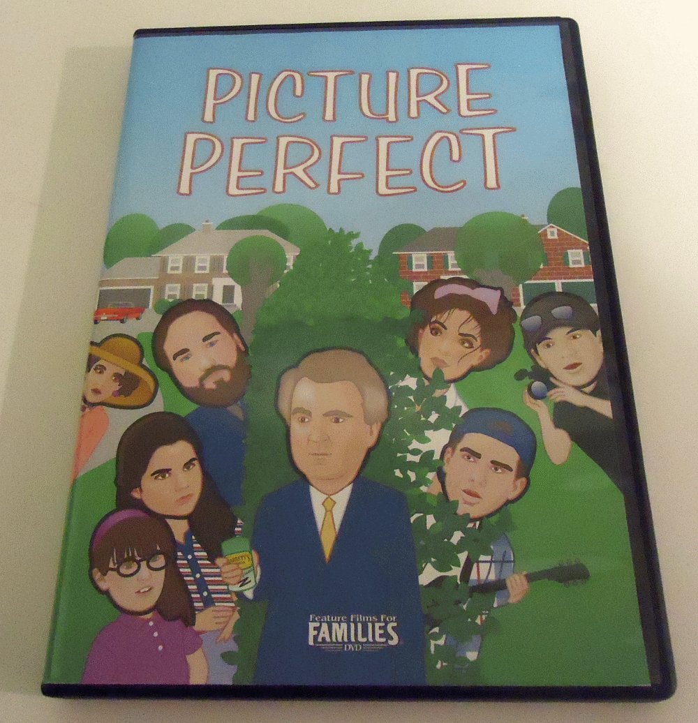 Picture Perfect (DVD)