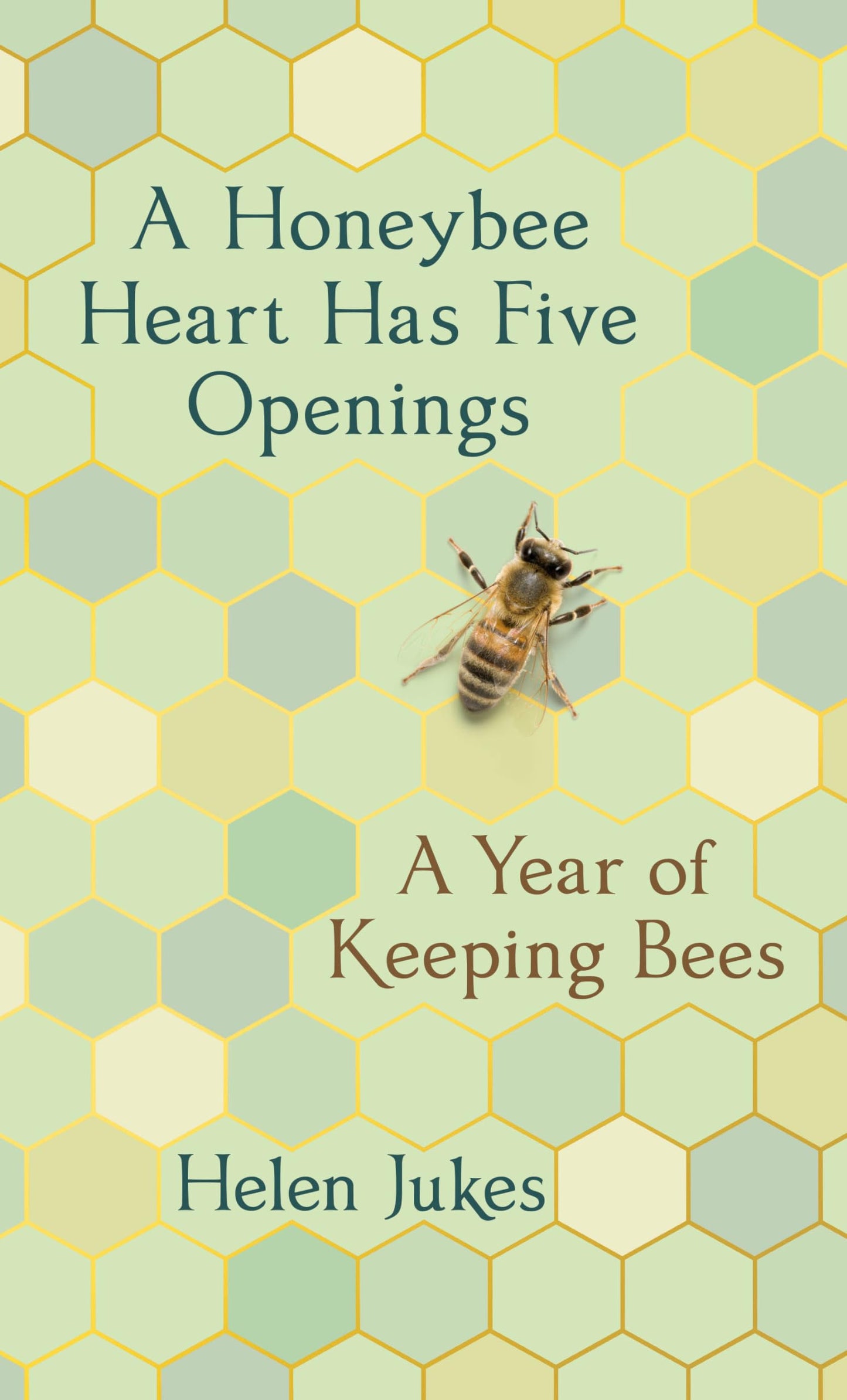 A Honeybee Heart Has Five Openings: A Year of Keeping Bees [Hardcover] Jukes, Helen