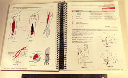 Daniels and Worthingham's Muscle Testing: Techniques of Manual Examination and Performance Testing (Daniels & Worthington's Muscle Testing (Hislop))