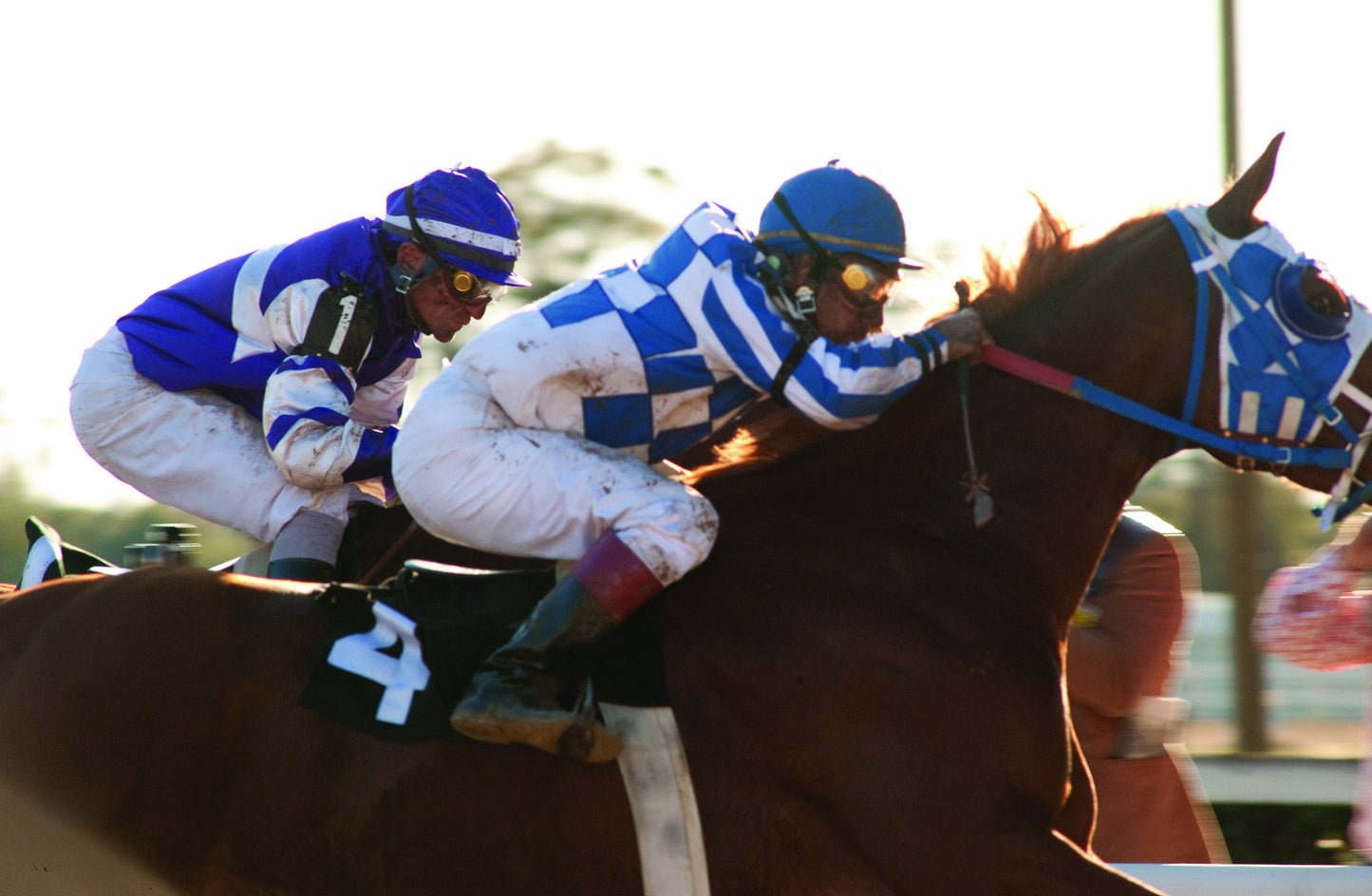 Secretariat (DVD)