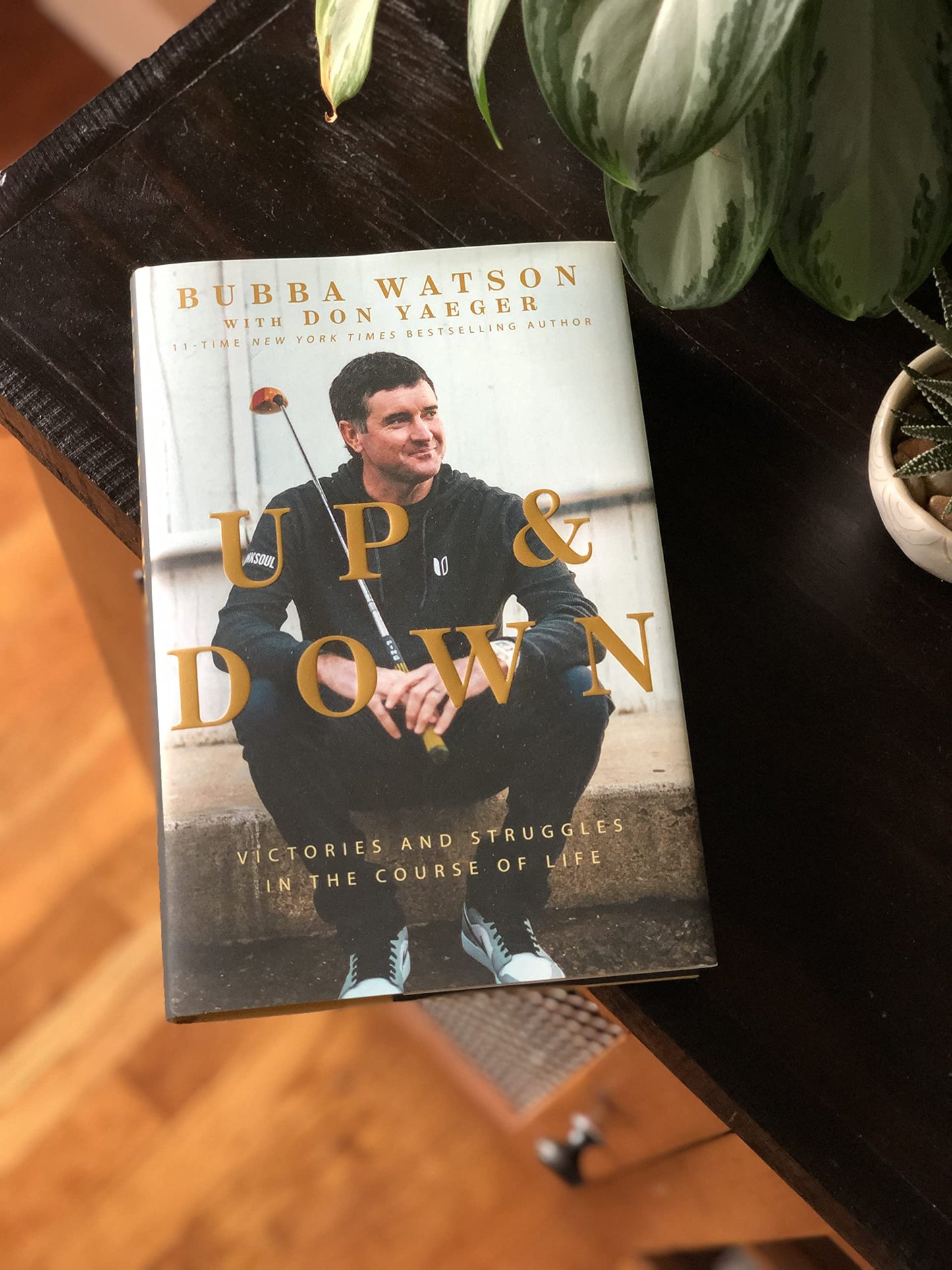 Up and Down: Victories and Struggles in the Course of Life by Bubba Watson