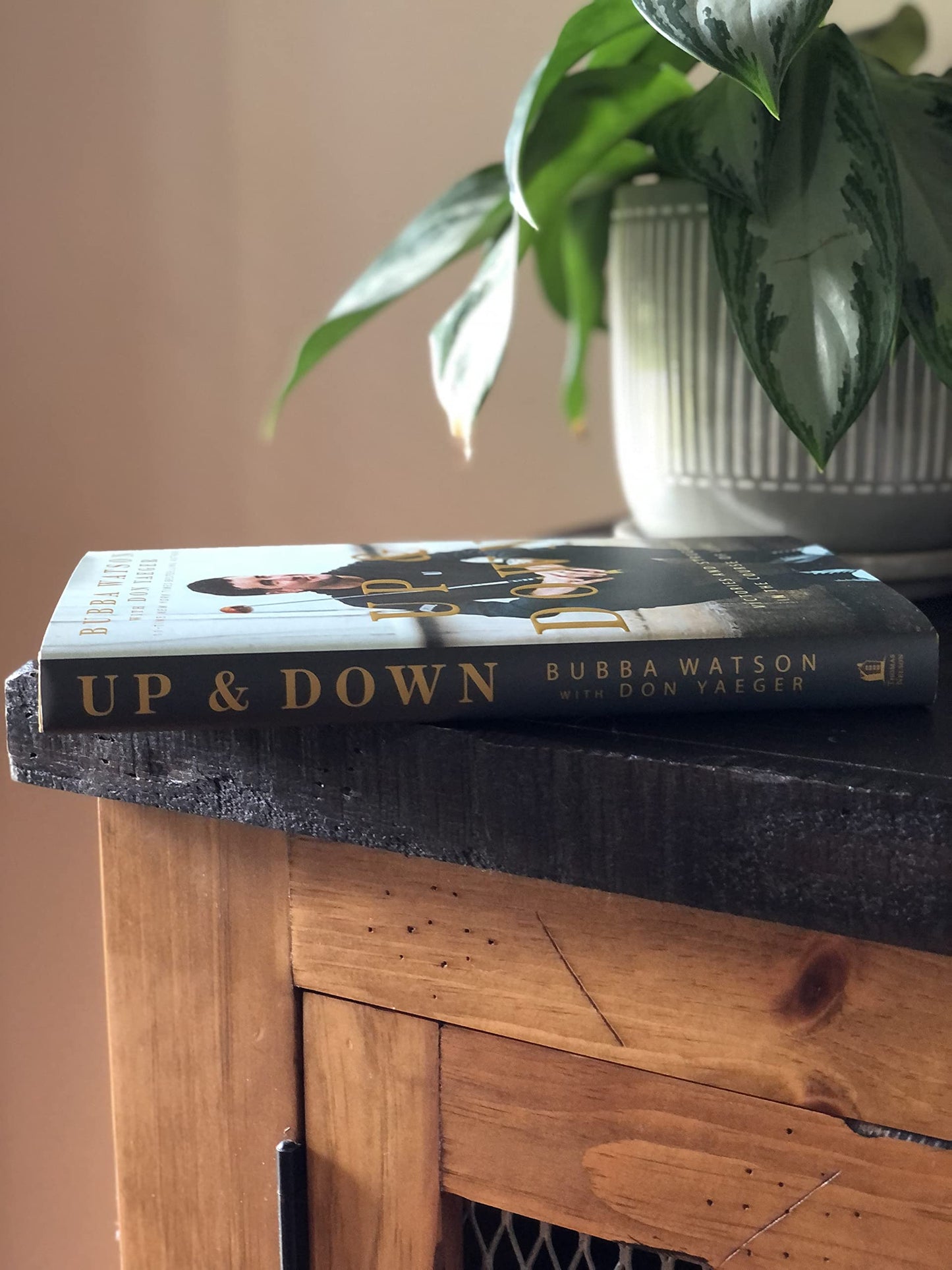 Up and Down: Victories and Struggles in the Course of Life by Bubba Watson