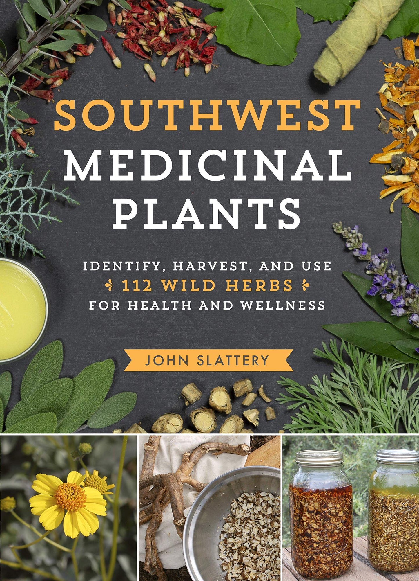 Southwest Medicinal Plants: Identify, Harvest, and Use 112 Wild Herbs for Health and Wellness (Medicinal Plants Series) [Paperback] Slattery, John