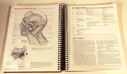 Daniels and Worthingham's Muscle Testing: Techniques of Manual Examination and Performance Testing (Daniels & Worthington's Muscle Testing (Hislop))