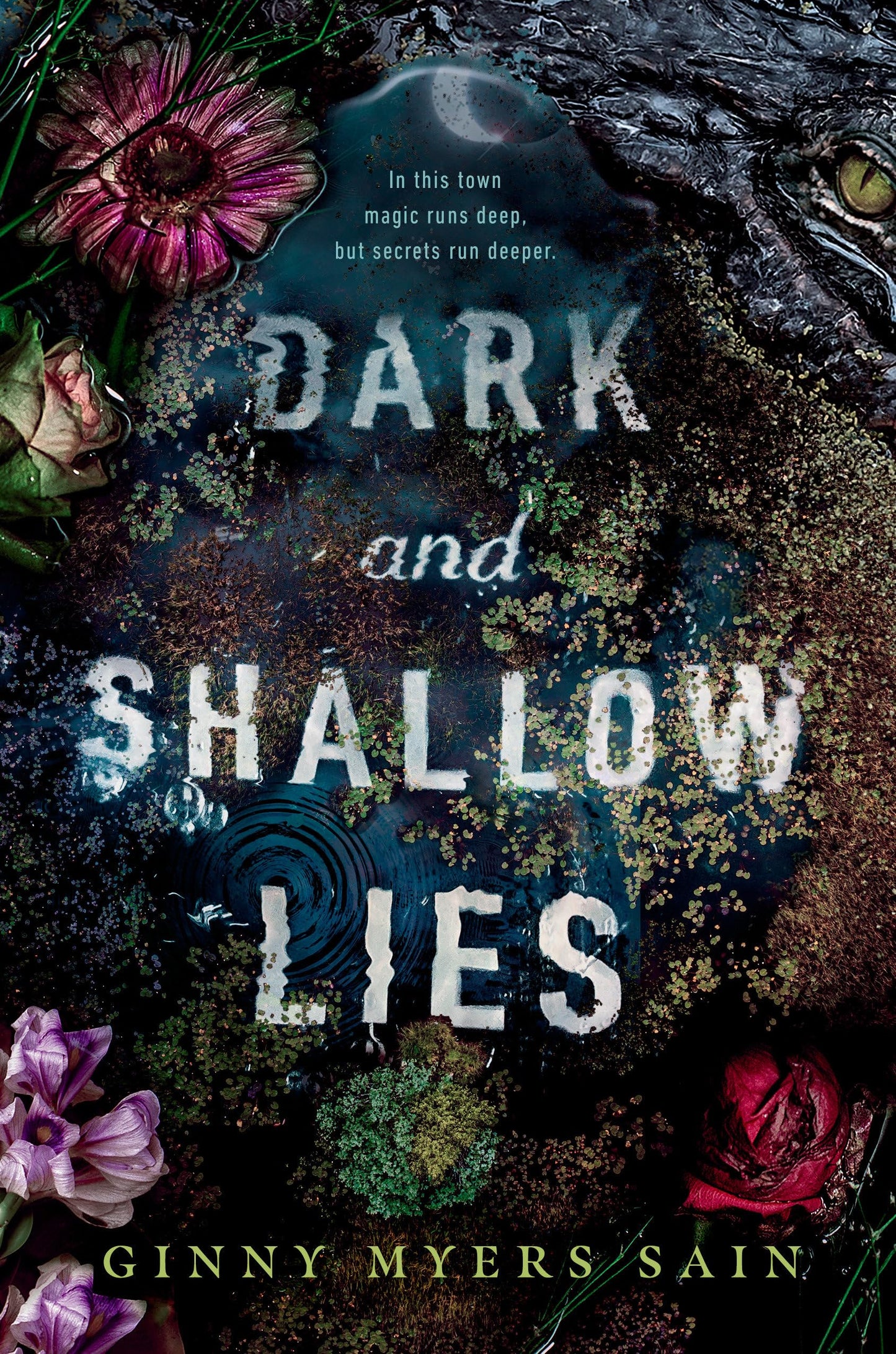 Dark and Shallow Lies [Hardcover] Sain, Ginny Myers