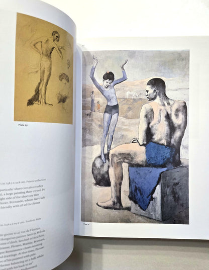 The Steins Collect: Matisse, Picasso, and the Parisian Avant-Garde
