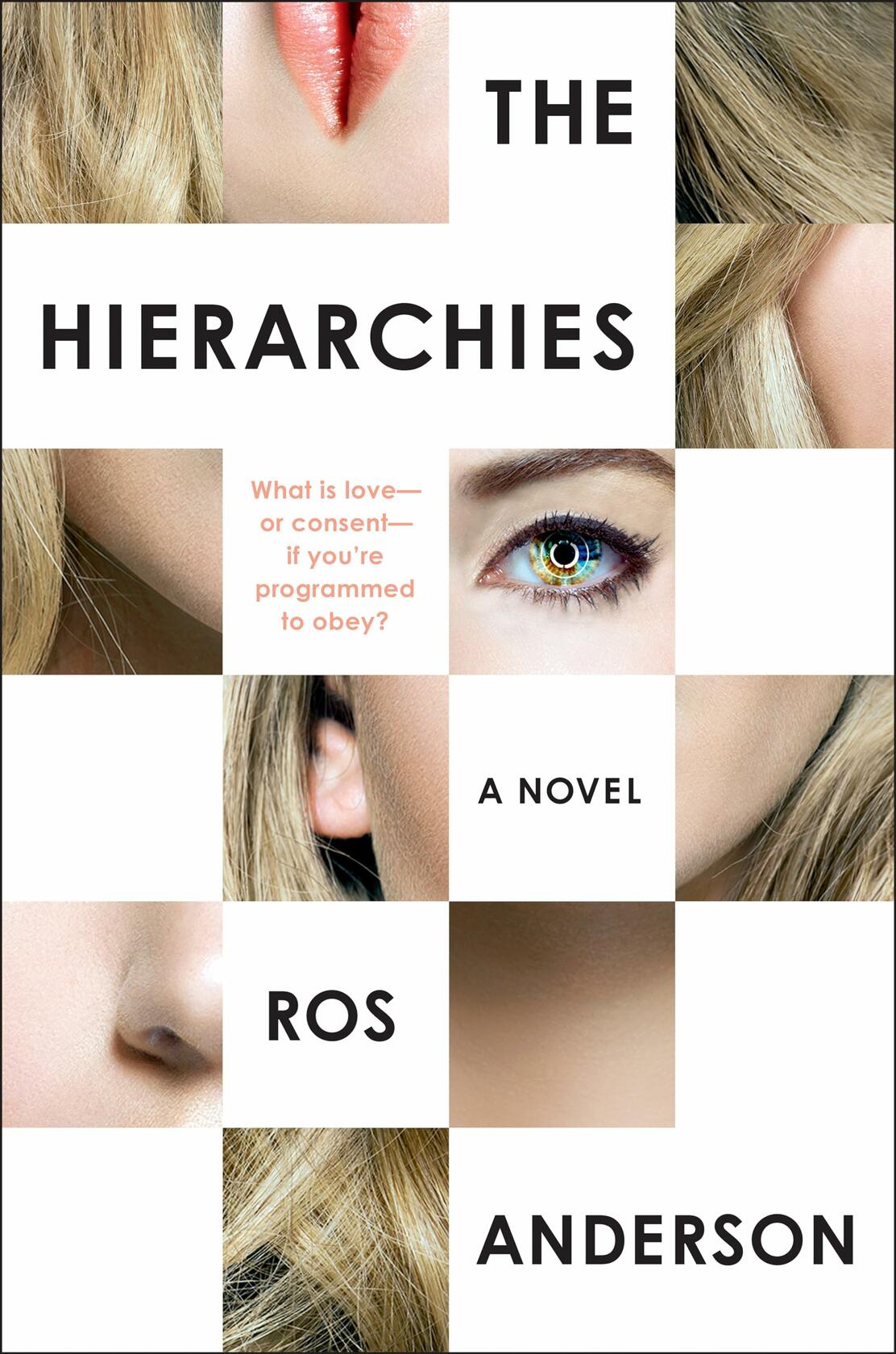The Hierarchies: A Novel [Hardcover] Anderson, Ros