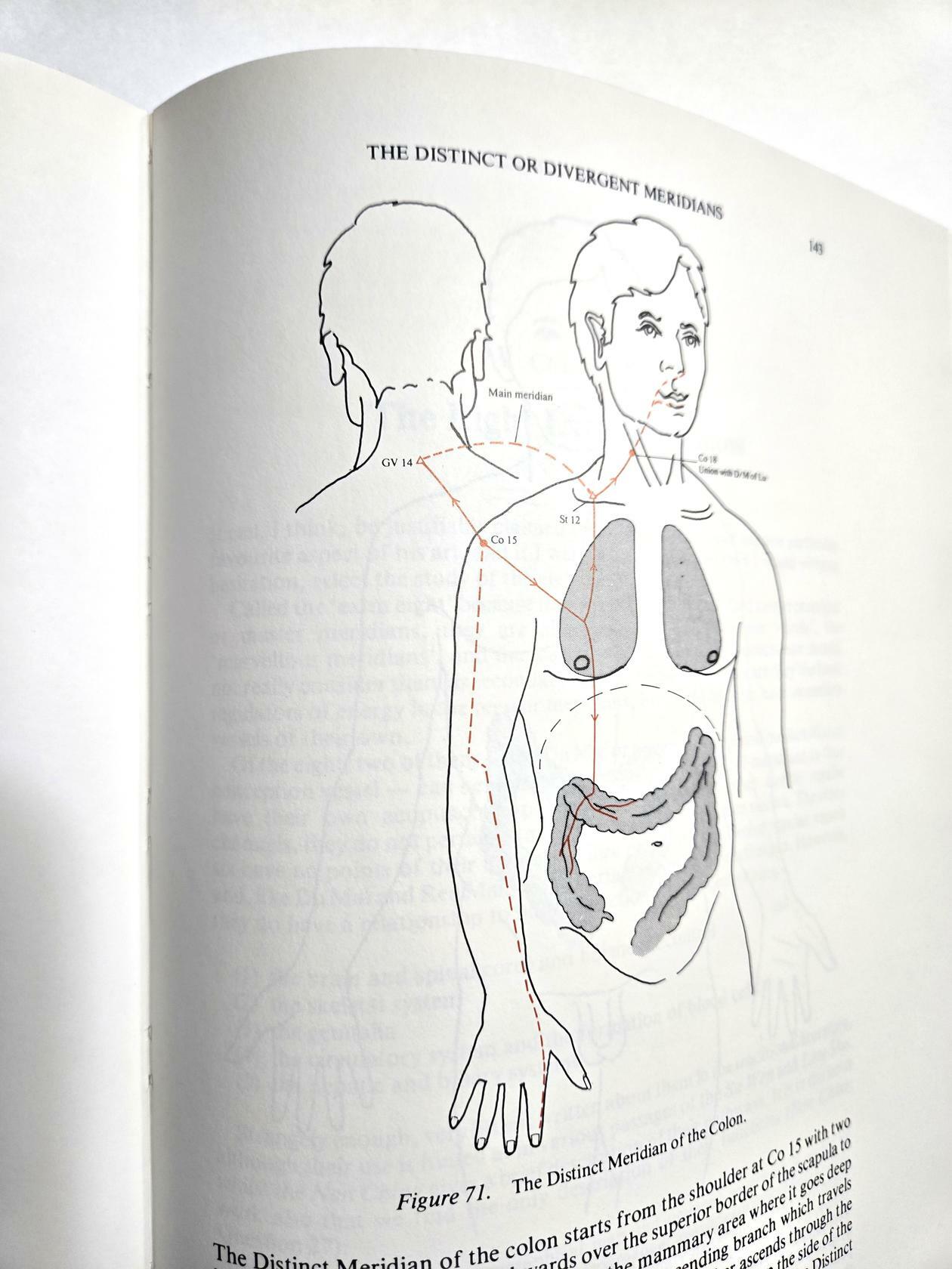 The Secondary Vessels of Acupuncture: A Detailed Account of Their Energies, Meridians, and Control Points Low, Royston H.