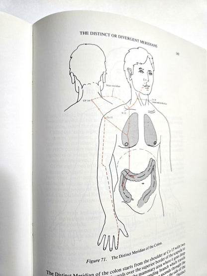 The Secondary Vessels of Acupuncture: A Detailed Account of Their Energies, Meridians, and Control Points Low, Royston H.