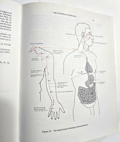 The Secondary Vessels of Acupuncture: A Detailed Account of Their Energies, Meridians, and Control Points Low, Royston H.