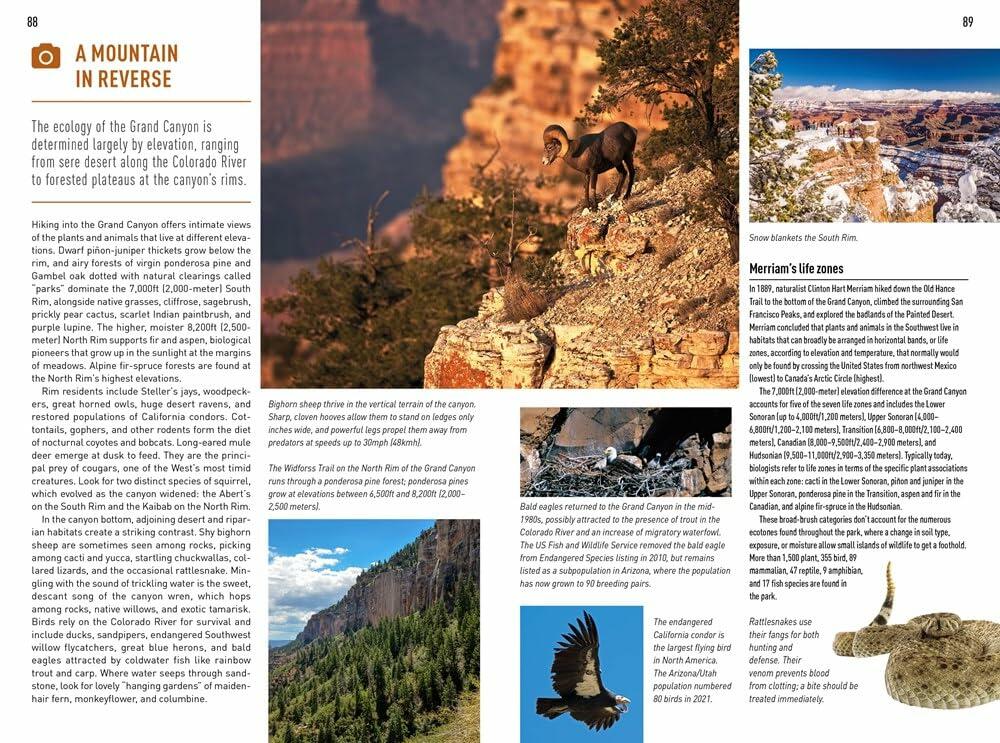 Insight Guides Arizona & Grand Canyon (Travel Guide with eBook)