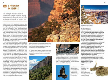 Insight Guides Arizona & Grand Canyon (Travel Guide with eBook)