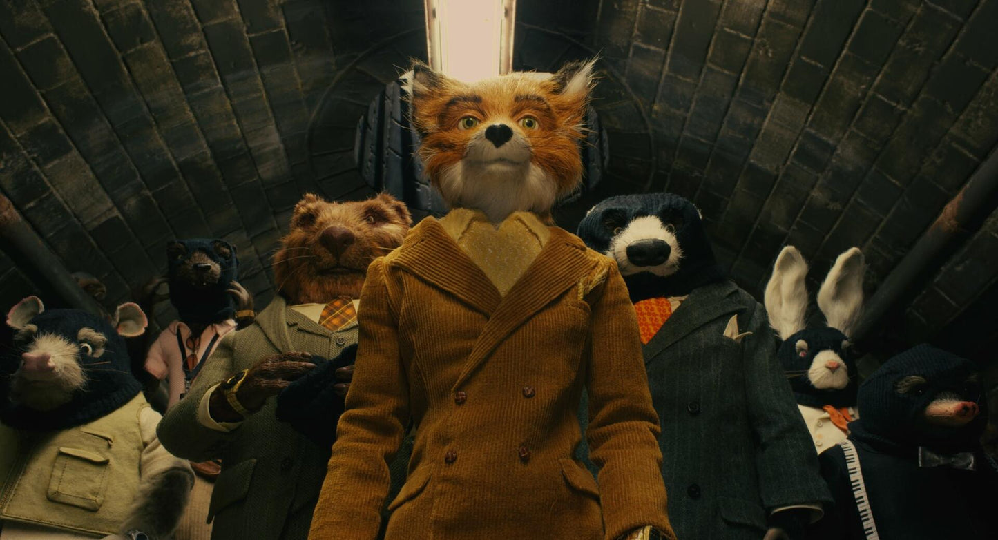 Fantastic Mr. Fox (Criterion Collection) (Blu-ray + DVD) [Blu-ray]