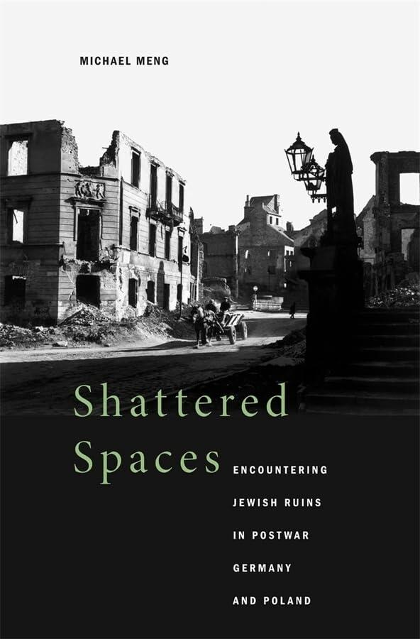 Shattered Spaces: Encountering Jewish Ruins in Postwar Germany and Poland [Hardcover] Meng, Michael