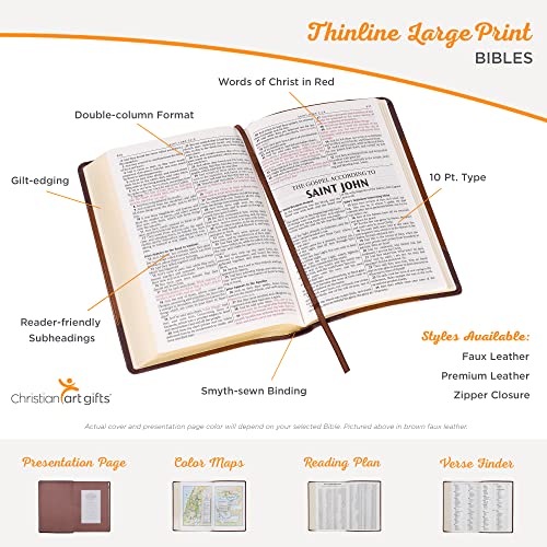 KJV Holy Bible, Thinline Large Print Faux Leather Red Letter Edition Ribbon Marker, King James Version, Pink/Brown