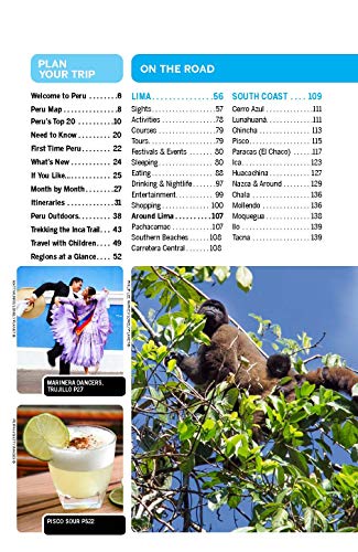 Lonely Planet Peru 10 (Travel Guide)