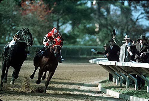 Seabiscuit (Widescreen Edition)