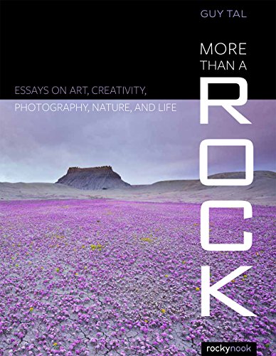 More Than a Rock: Essays on Art, Creativity, Photography, Nature, and Life