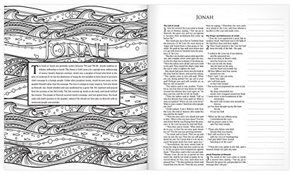 The MEV Promises of God Creative Journaling Bible: Modern English Version