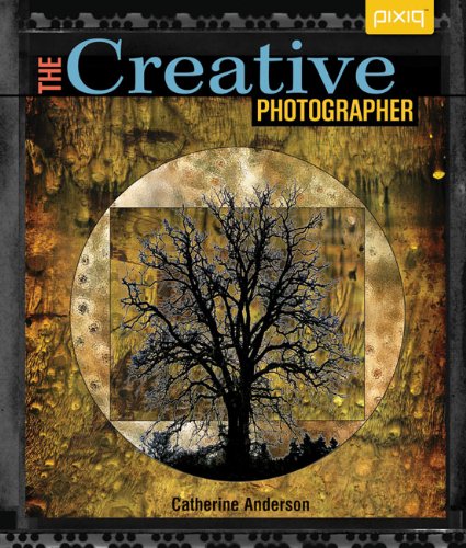 The Creative Photographer