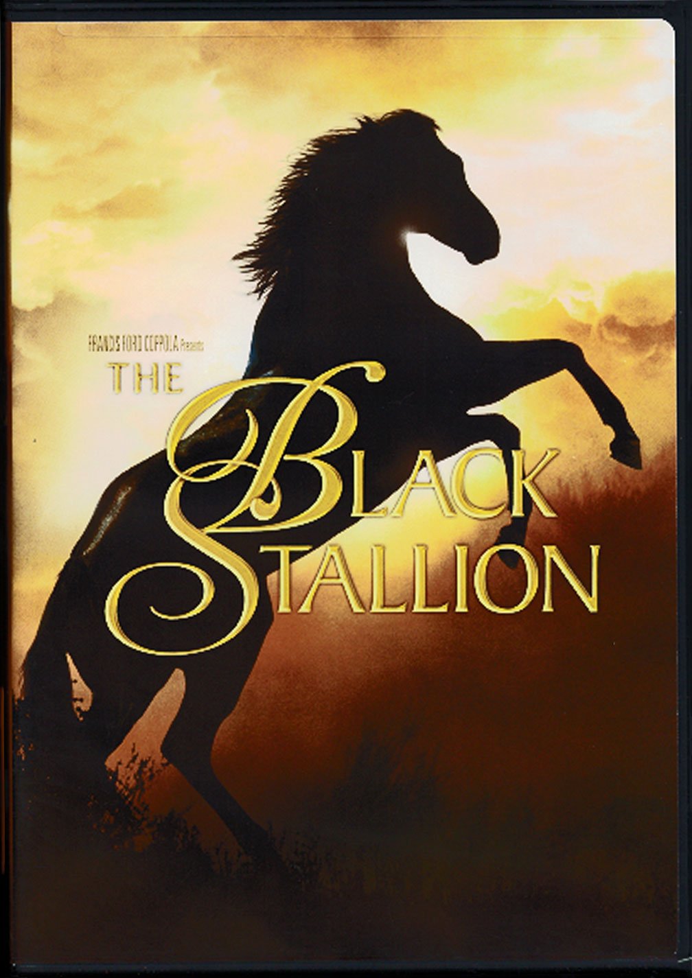 Black Stallion, The